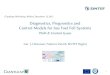 PHM & Control Issuesgiantleap.eu/wp-content/uploads/2018/01/Giantleap_Workshop_SINT… · Diagnostics, Prognostics and Control Models for bus Fuel Fell Systems PHM & Control Issues