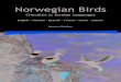 Norwegian Birds - Nibio · * Rustand (Tadorna ferruginea) Ruddy Shelduck Rostgans Tarro Canelo Tadorne casarca Casarca Огарь B Gravand (Tadorna tadorna) Common Shelduck Brandente