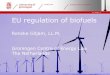 4-1-2016 | 1 EU regulation of biofuelsfaculty of law groningen centre of energy law Renewable energy framework • ‘20/20/20 Policy’ •Renewable Energy Directive (2009/28/EC)