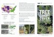 About the USDA-FS TCC Project The United States Forest ......Jan 03, 2020  · and TCC values for each of the nominal years of 2011 and 2016. To build the NLCD version, TCC “cartographic”