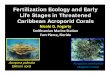 Fertilization Ecology and Early Life Stages in Threatened ... · Study species. Threats to acroporids Study species. Acroporid restoration/ natural recruitment Asexual propagation
