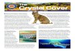 Te rt over - Crystal Cove | Crystal Cove State Park...plastic for shopping bags, home furnishings, diapers and even sanitary pads. With California having already banned plastic shopping
