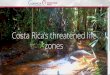 PowerPoint PresentationCosta Rica is part of the narrow terrestrial land bridge connecting North and South America. Due to its unique climatic and geomorphologic setting almost 5%