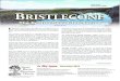 Photo by Ian Bigley BRISTLECONE - gbrw.orggbrw.org/wp-content/uploads/2019/12/Bristlecone-2018-PRINT-bleed.… · 2 | Bristlecone Great Basin Resource Watch has a new beautiful logo