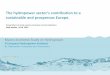 The hydropower sector Zs contribution to a sustainable and ... · 19/6/2015  · A European Hydropower Initiative groups hydropower companies and associations, who commissioned DNV