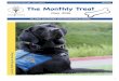 May 2016 'The Monthly Treat' - Dogs4Diabetics€¦ · 5/5/2016  · May 2016 Puppy Raiser Newsletter The Latest and Greatest with the D4D Pups-in-Training The Monthly Treat V Dogs4Diabetics