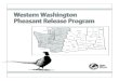 Western Washington Pheasant Release ProgramIsland Kitsap Vancouver 6 San Juan. ... bird, dove and band-tailed pigeon hunting on all pheasant release sites statewide. If you hunt any