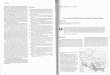 Wydział Nauk Geograficznych i Geologicznych - Aktualnościgeoinfo.amu.edu.pl/sgp/LA/LA01/a055_PULINA.pdf · J.E. Mojski Marian Pulina LandformAnafysis, Vol. 1: 55-71(1997) Karst