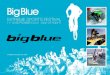 Prepared by Into the blue - UK Sponsorshipeg South Coast Surfing Championships, British Paddle Board championships • PLAY –where the public get involved Visitors can try each sport