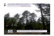 GLEN MUD TIMBER SALE PROJECT Checklist Environmental ...dnrc.mt.gov/.../2018/october/2018-10-01_ts_glen-mud-timber-sale.pdf · 10/1/2018  · Glen Mud Timber Sale Project Department