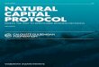 POLICY BRIEF EN NATURAL CAPITAL PROTOCOL€¦ · capital into business strategy. Natural Capital is the stock of Earth’s natural resources (e.g. water, soil, air, rivers, oceans