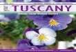 DELIVERED MONTHLY TO 6,800 HOUSEHOLDS your TUSCANY · hCG Diet Program Botox for Migraines Botox for Hyperhidrosis Sclerotherapy EXPERIENCE 3-IN-1 SUPER FACIAL ... Canada’s second