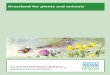 Grassland for plants and animals - Scottish Natural Heritage...Ideal structure Grassland for plants and animals June and July Watch out for . . . • Many wildflowers and grasses in