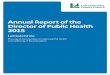Annual Report of the Director of Public Health 2015politics.leics.gov.uk/documents/s113571/10 Annual Report... · 2015. 11. 10. · Annual Report of the Director of Public Health