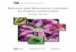Biology and Biological Control of Purple Loosestrife · Persons with disabilities who require alternative means of communication for program information (e.g., Braille, large print,