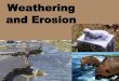 Weathering and Erosion - harrisd2@weebly.com · 2018. 9. 10. · Weathering and Erosion. Objective: 2.1.3 I can explain how natural actions such as weathering, erosion (wind, water