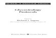 Glycovirology Protocolsthe-eye.eu/public/Books/BioMed/Glycovirology... · Richard J. Sugrue..... 1 2 Interaction Between Respiratory Syncytial Virus and Glycosaminoglycans, Including