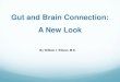 Gut and Brain Connection - tocureautism.org · Gut/Brain Connection: Where’s the Beef (Evidence)? “Alterations of the Intestinal Barrier in Patients With Autism Spectrum Disorders