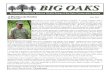 Newsletter of Big Oaks National Wildlife Refuge & Big Oaks ...BIG OAKS Newsletter of Big Oaks National Wildlife Refuge & Big Oaks Conservation Society A Word From the President Fall
