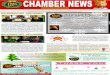 COMMUNITY VISIONING - New Ulm Chamber & CVB€¦ · The Willkommen Committee recently welcomed the New Ulm Basketball Association (NUBBA) as new members of the New Ulm Area Chamber