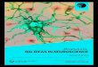 Brainstorm: BIG IDEAS IN NEUROSCIENCE · Brainstorm will tackle what we already know about the brain and how cutting edge technologies are changing this, using a mix of videos, discussion,