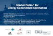 Sensor Fusion for Energy Expenditure Estimation · Sensor Fusion for Energy Expenditure Estimation Dominik Schuldhaus 1, Sabrina Dorn1, Heike Leutheuser , Alexander Tallner2, Jochen
