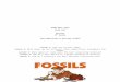 tmasterson.weebly.com€¦  · Web viewFossils . 6. th. Grade . Tara Masterson & Kristen . Vitalo. Lesson 1: How are Fossils made? Lesson 2: What makes up the different land compositions