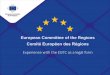 Comité Européen des Régions Experience with the EGTC as a ...cesci10.cesci-net.eu/wp-content/uploads/2019/05/3_03_panel_Slaven... · Thank you Köszönöm Hvala. Title: Title of
