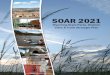 SOAR 2021 - Wyoming State Parks, Historic Sites, & Trails · Tourism (WOT) embarked on a process to develop the Wyoming Tourism Master Plan. In 2010, WOT partnered with the Wyoming