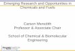 Emerging Research and Opportunities in Chemicals and Fuels ...rbi1.gatech.edu/sites/default/files/documents/Presentations/2014 Ligno... · Elucidate influence of biomass -derived
