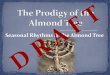 The Parable of the Almond Tree · The study of biological temporal rhythms, such as daily, tidal, weekly, seasonal, and annual rhythms in living organisms and their adaptation to