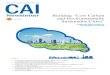 Newsletter Building “Low Carbon and Environmentally€¦ · Low-Carbon Plan Iskandar Malaysia Special Economic Zone Iskandar, Malaysia Development Region Initiative P. 8 02 CAI