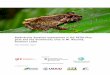Biodiversity baseline assessment in the REDD-Plus pilot ...forestry.denr.gov.ph/redd-plus-philippines/publications/Biodiversity baseline...This study was undertaken by Fauna & Flora