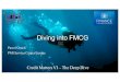 Diving into FMCG - creditcee.eu … · Diving into FMCG. Top 50 EU companies as at Dec.2015 Data supplied by Bureau van Dijk Receivables EUR mio Sales EUR mio EBITDA EUR mio Employees