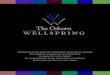 WellSpring is The Osbornâ€™s integrated approach to wellness ... to enjoy life to the fullest by embracing