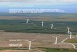 Wind farm proposals on afforested sites advice on reducing ... · eared owl. However, opening up such forestry for wind farm development through ‘keyholing1’, restructuring or