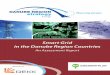 Smart Grid in the Danube Region Countries · 7 .1 Current regulatory policies on smart grids and smart metering in the Danube Region . . . . . . . . . .65 ... The technical scores
