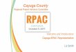 Clinical Integration Data Elements · 2019. 9. 5. · PPS network partners ... Cayuga Community Health Network, Inc. • Rural Health Network of Cayuga County • 501(c)3 non-profit