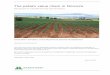 The potato value chain in Morocco...19 hours ago  · The potato value chain in Morocco SDG approach for sustainable food value chain development Greet Blom-Zandstra, Irene Bouwma