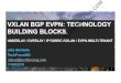VXLAN BGP EVPN: TECHNOLOGY BUILDING BLOCKS....O -OSPF, IA -OSPF inter area, E1 - OSPF external type 1, E2 -OSPF external type 2, N1 -OSPF NSSA external type 1, N2 -OSPF NSSA external