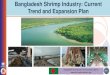 Bangladesh Shrimp Industry: Current Trend and Expansion Planshrimp.infofish.org/images/presentations/4 Syed Mahmudul Huq.pdf · 134693 132370 132657 122500 110000 115000 120000 125000