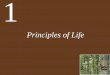 Principles of Life - giannou.weebly.comgiannou.weebly.com/.../5/6/4/8/5648347/ch01_lecture-principles_of_li… · Chapter 1 Principles of Life. Key Concepts • 1.1 Living Organisms