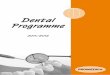 Dental Programme - Promedica · 2012. 2. 20. · Temporary Material Restorative Dentistry Temporary crown and bridge material Success CD Temporary luting cement Provilat Fluoride