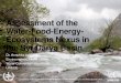 Assessment of the Water-Food-Energy- Ecosystems Nexus ......2016/10/20  · Assessment of the Water-Food-Energy-Ecosystems Nexus in the Syr Darya Basin Dr. Annukka Lipponen Environmental