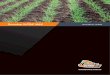 Roundup ULTRA MAX TECHNICAL GUIDE · Roundup ULTRA MAX may be tank mixed with the herbicides, insecticides and adjuvants mentioned in this guide. Read and follow all label directions,restraints,