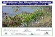 A Basic Guide to Bioengineering - Christie Lake Association...possible environmental damage, and ultimately minimize the impacts to adjacent lands and the waterway (i.e. 3. High Water