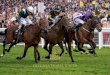 th - Saturday 22nd INTERNATIONAL RACES · the spotlight on Britain’s best Flat races and will climax on 19th October 2019 with the richest fixture in British racing history, QIPCO