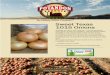 ;e Healthy Potato Company™ Sweet Texas 1015 Onions Texas 1015 Onions.pdf · Immediate promotional volume and pricing available. So sweet and mild, you can slice and dice them without