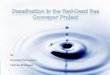 Ornwipa Thamsuwan Carmen Rodriguezcourses.washington.edu/cejordan/Desalination in the RDSC Project.pdf · desalination project: the Red–Dead Sea conveyor. Desalination 220, 16–23