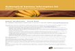 Subtropical banana information kitera.daf.qld.gov.au/1966/13/5_subtrop-banana-ki.pdf · a banana inspector is an offence under the legislation and severe penalties apply. Requirements